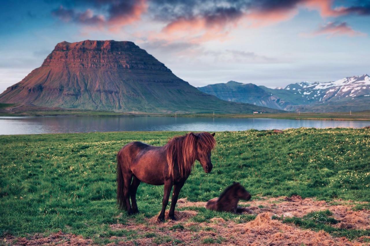 Experience Beautiful Iceland Olafsvik Luaran gambar