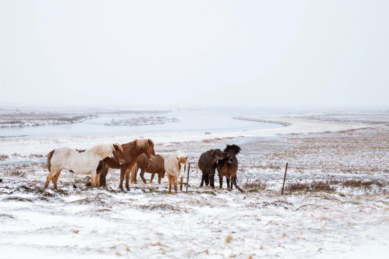 Experience Beautiful Iceland Olafsvik Luaran gambar