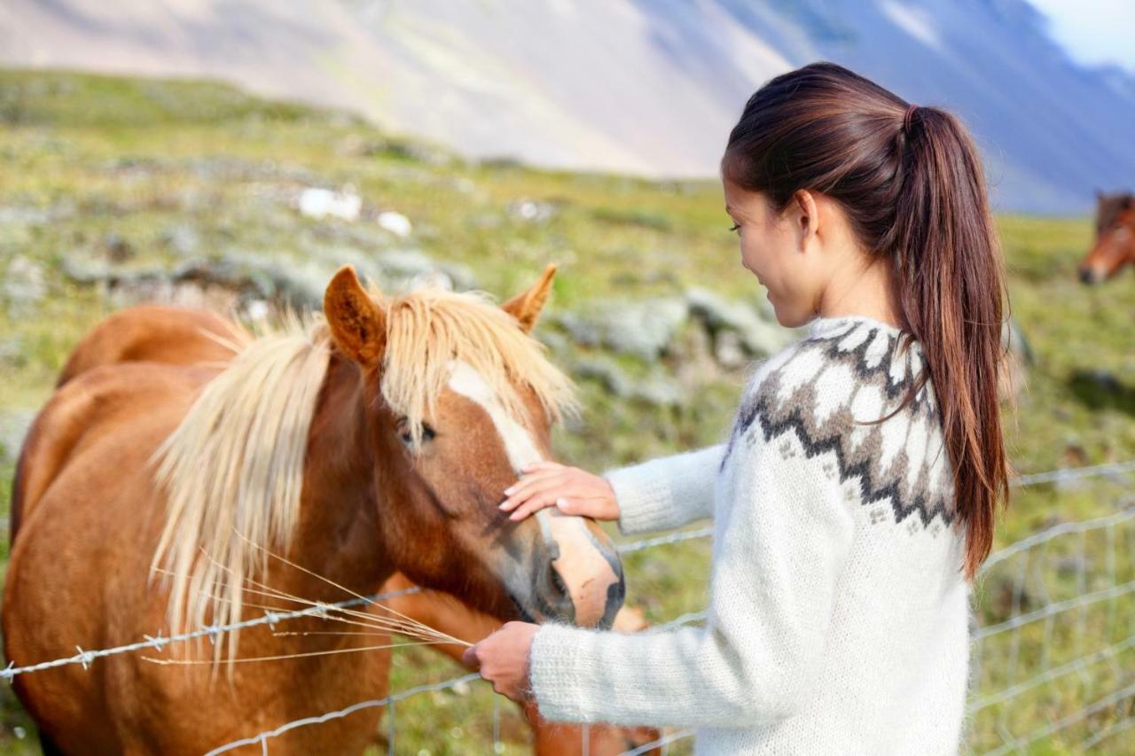 Experience Beautiful Iceland Olafsvik Luaran gambar