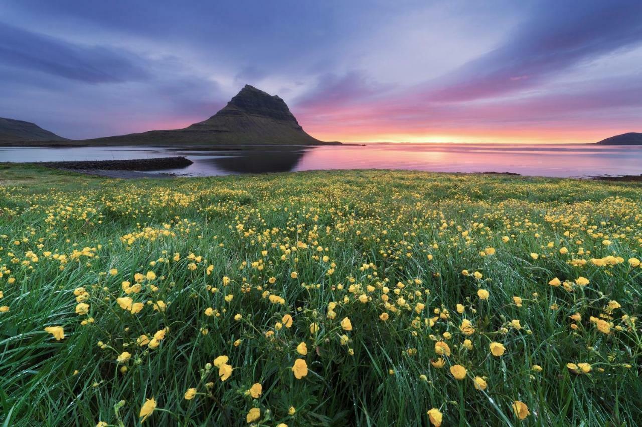 Experience Beautiful Iceland Olafsvik Luaran gambar